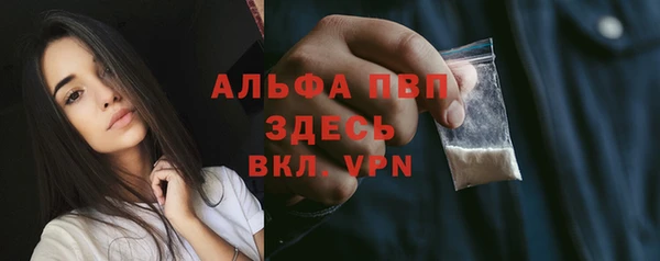 СК Белокуриха