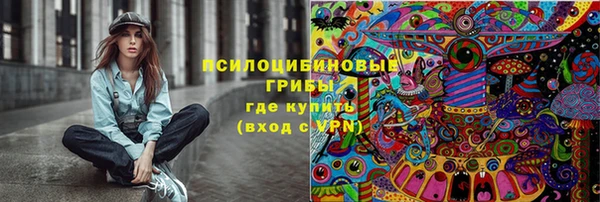 СК Белокуриха