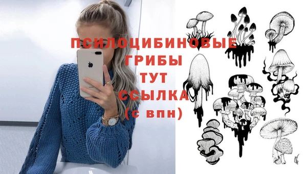 spice Беломорск