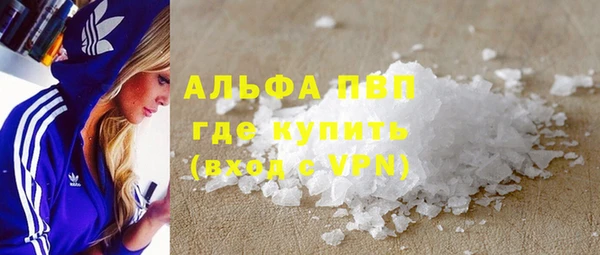 СК Белокуриха