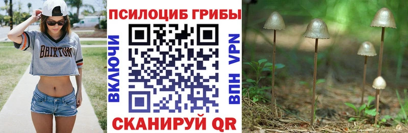 Псилоцибиновые грибы мухоморы  где можно купить   Бокситогорск 